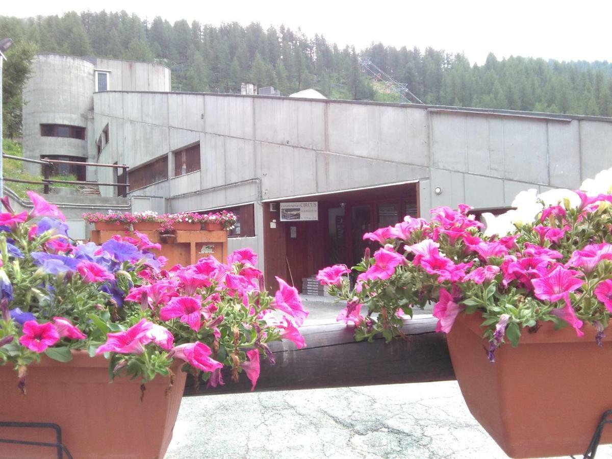 Soldanella Cervinia Apartment Vda Vacanze In Vetta Cir 0253 Breuil-Cervinia Eksteriør billede