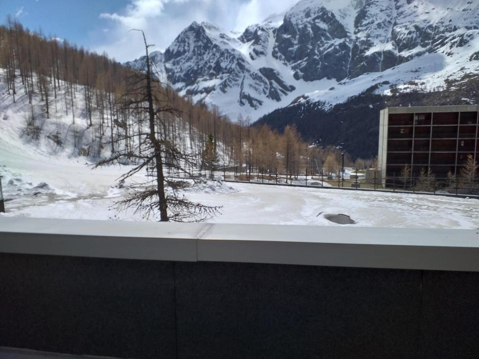 Soldanella Cervinia Apartment Vda Vacanze In Vetta Cir 0253 Breuil-Cervinia Eksteriør billede