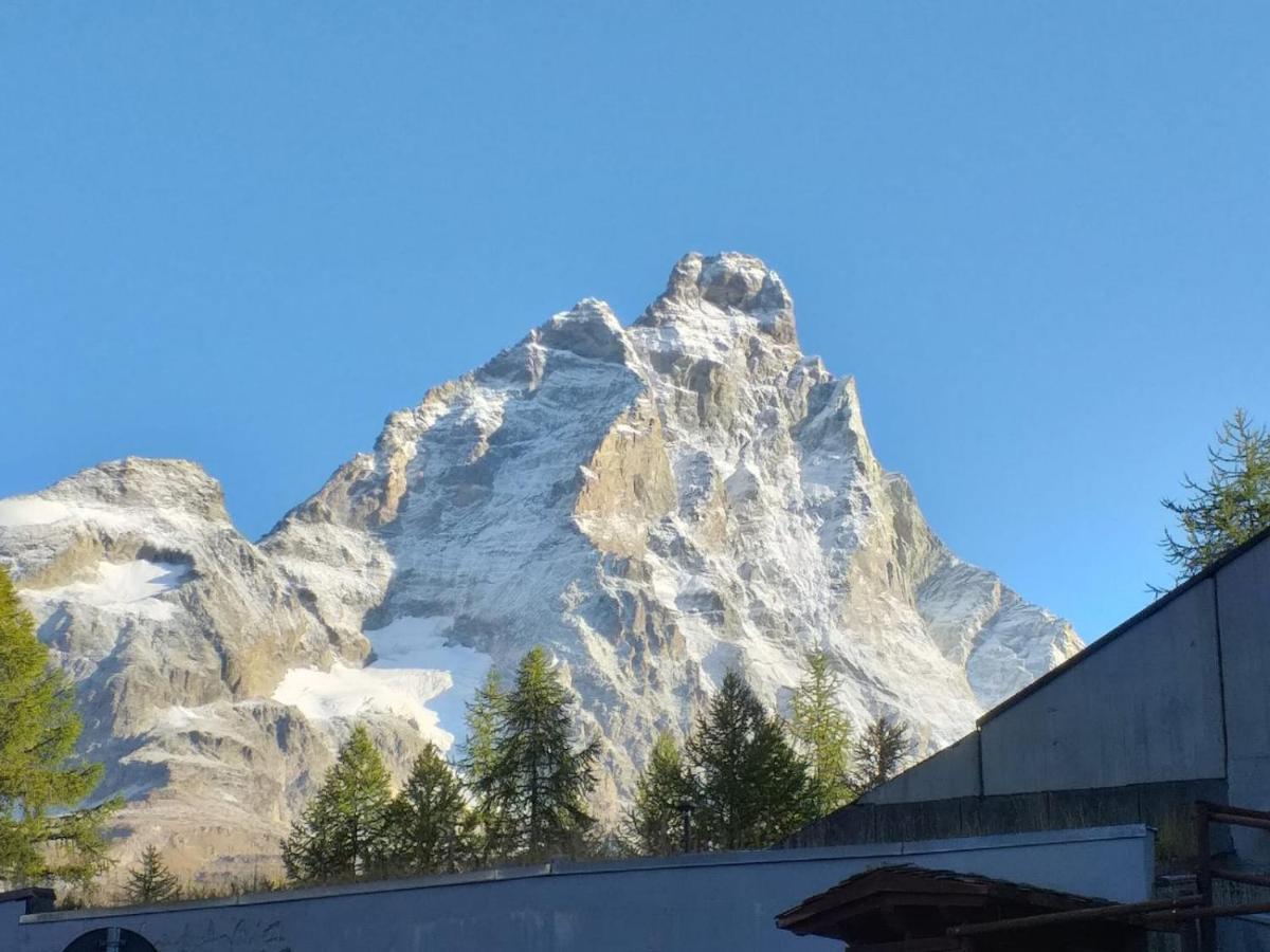 Soldanella Cervinia Apartment Vda Vacanze In Vetta Cir 0253 Breuil-Cervinia Eksteriør billede