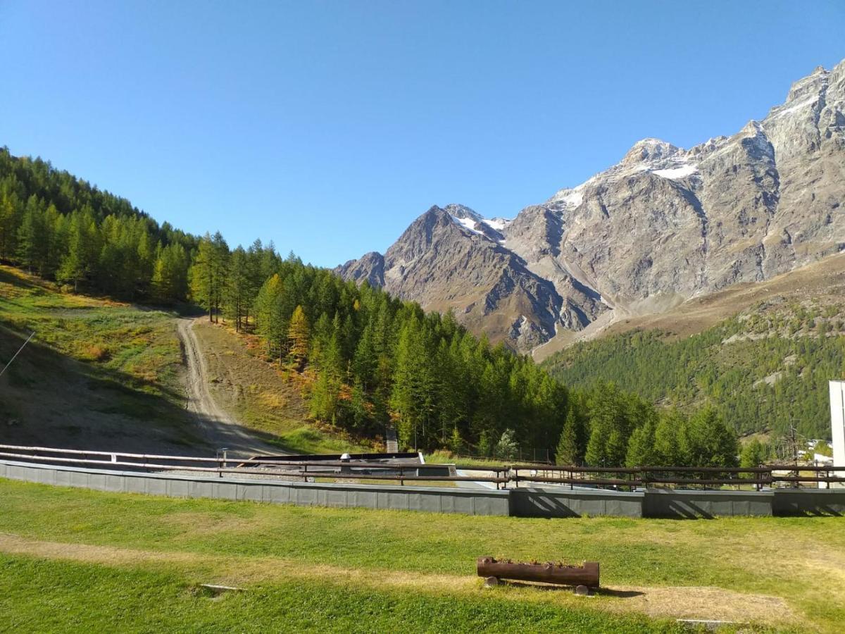 Soldanella Cervinia Apartment Vda Vacanze In Vetta Cir 0253 Breuil-Cervinia Eksteriør billede
